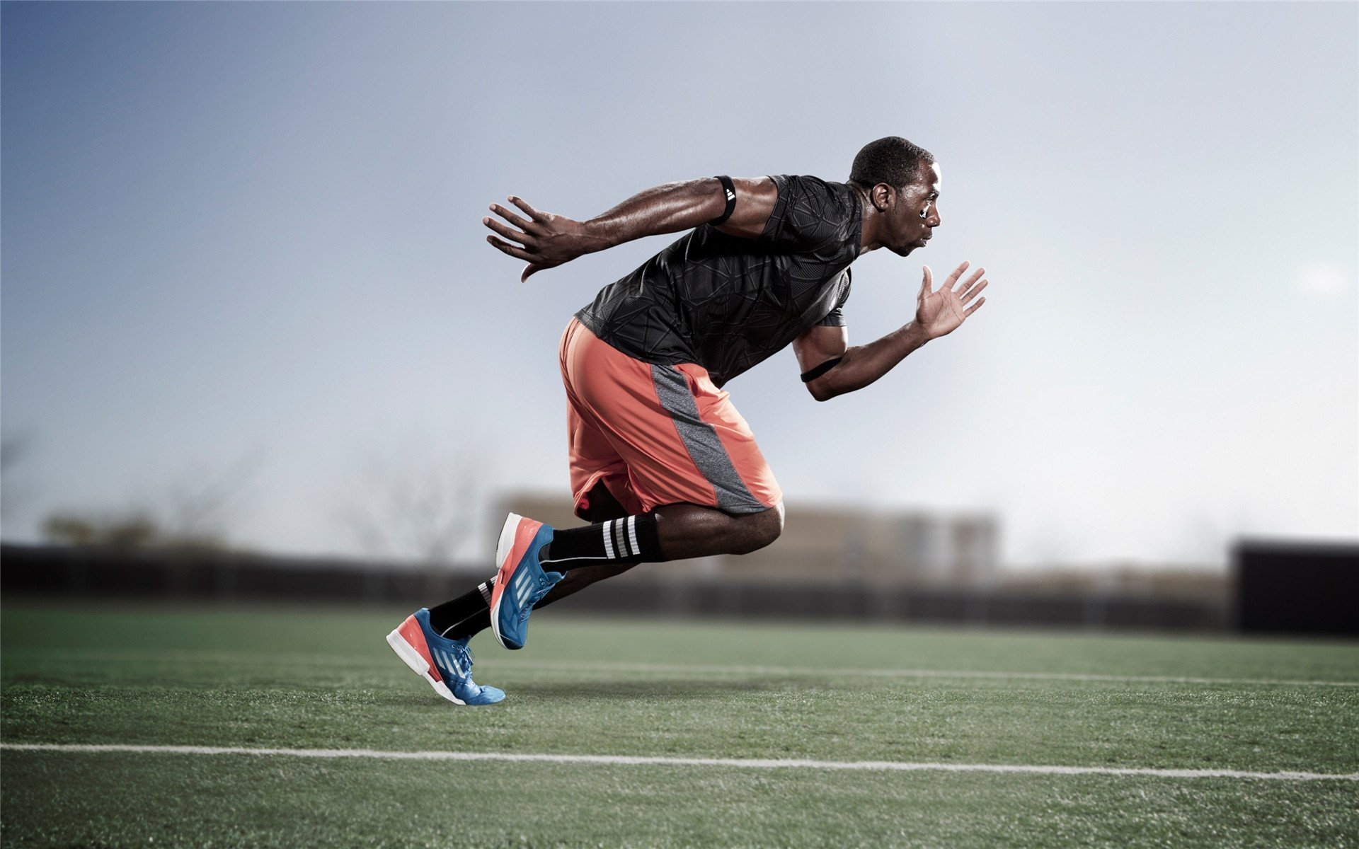 mk体育现在-波兰蝶泳选手爆发力十足，波兰6名游泳运动员