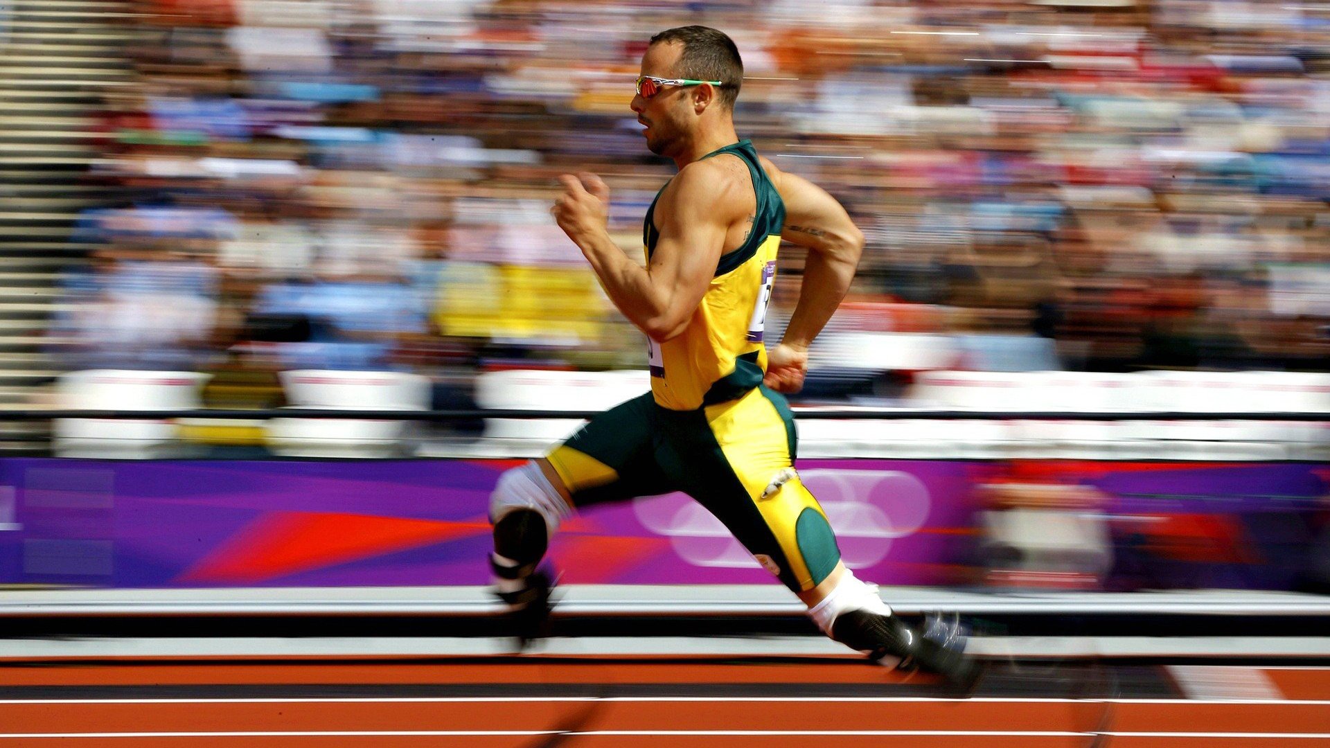 波兰蝶泳选手爆发力十足,波兰6名游泳运动员